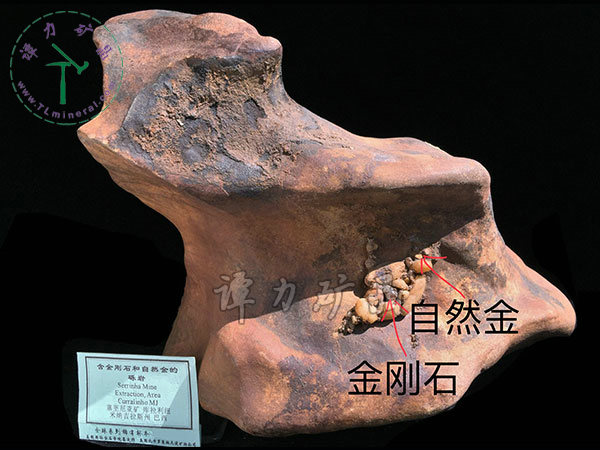 含金剛石和自然金的礫巖，巴西，米納斯吉拉斯州