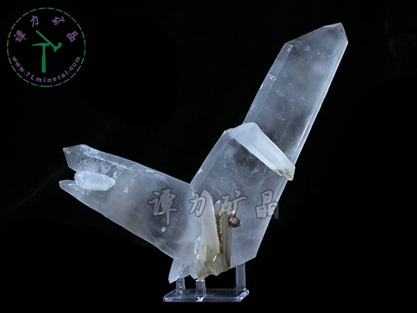 日本律雙晶，內蒙古內蒙古，東烏珠穆沁旗，額仁高畢,六井,976層,2016年產出