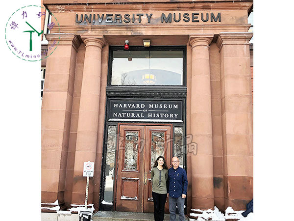 哈佛大學(xué)礦物博物館館長(zhǎng)Raquel-Alonso-Perez拉奎爾·阿隆索·佩雷斯（左），譚力（右）