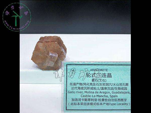 輪式三連晶霰石，西班牙