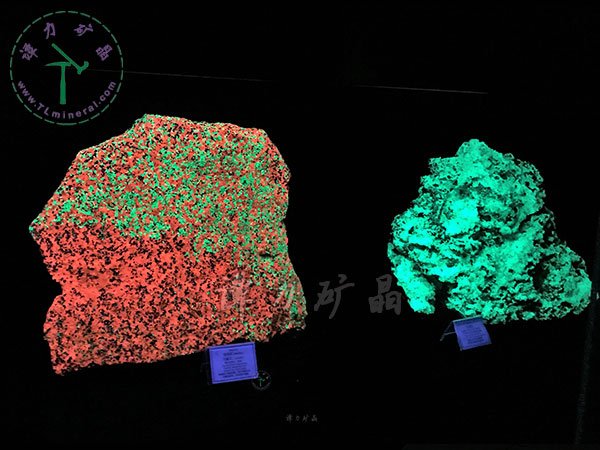 短波紫外燈：硅鋅礦（左），玉滴石（右）