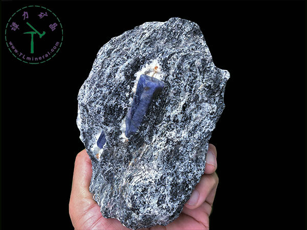 藍(lán)寶石+片麻巖，馬達(dá)加斯加，--13x9x5，主晶：4.0x1.5x1.5