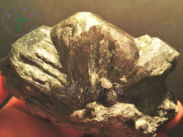 亞歷山大石（變石）輪式雙晶+津巴布韋，12x10x5.0(鎢絲白熾燈下拍攝)